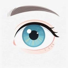 eye 插图