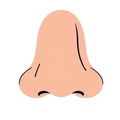 nose 插图
