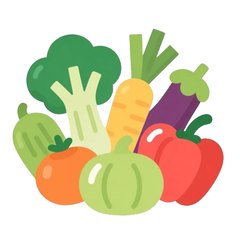 vegetable 插图