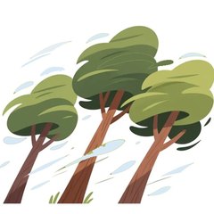 wind 插图